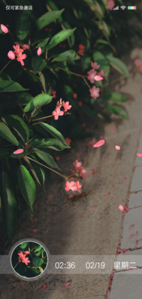 梦幻花舞