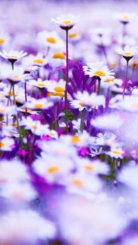 Spring is here