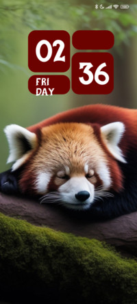 Dream Panda