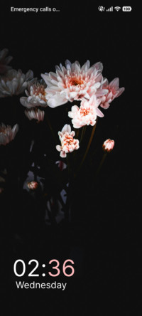 White Blooming