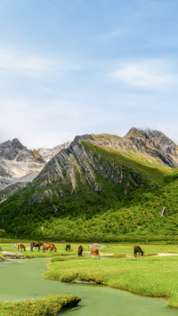 稻城旅游新体验