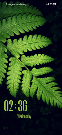 Green Leaf