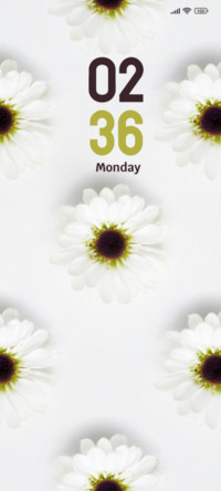 White Flowers