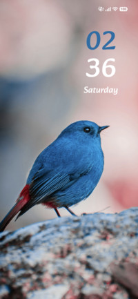 Blue Robin