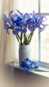 Iris bouquet