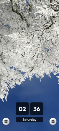 Ivory Canopy