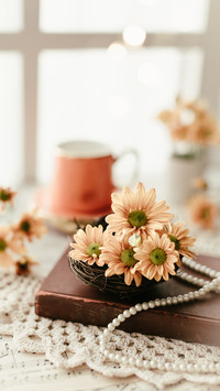 Yellow aster flowers on top of  book on the table