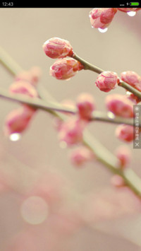 下雨过后的花、草【侧边+重力感应】