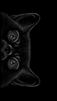 黑猫先生-拍信图库