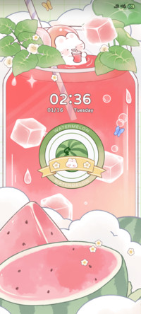 Watermelon Juice