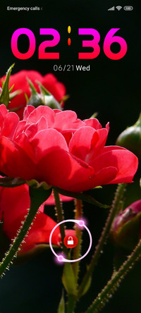 flowers buds