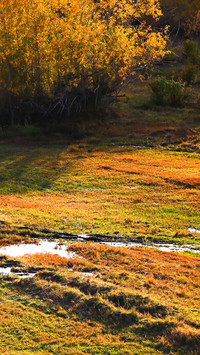 Autumn Scenery On Earth