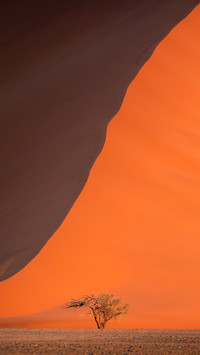 Shadows and light on Namib Desert’s red sands