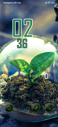Baby Plant