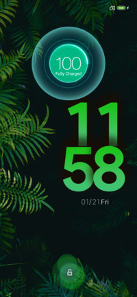 Jungle uno