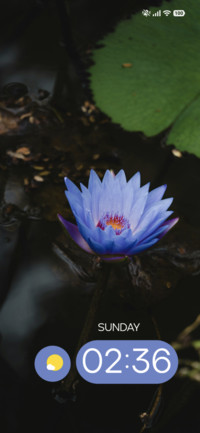 Flower Floats