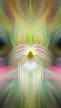 Color line8