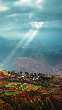 Yunnan lateritic 52
