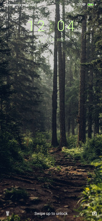 Trees - Valley