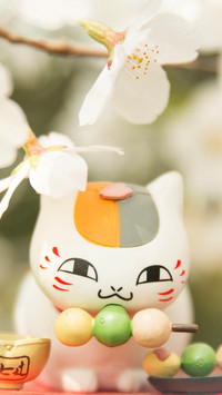 猫咪老师 又萌又治愈
