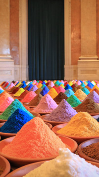 international_holi (12)