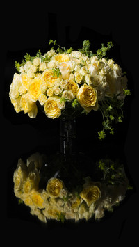 The Best Yellow Rose Of Roses 5