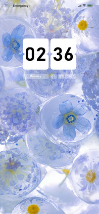 The flower 