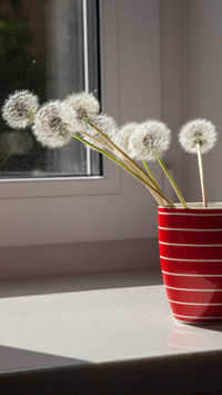 Spring flower arrangement