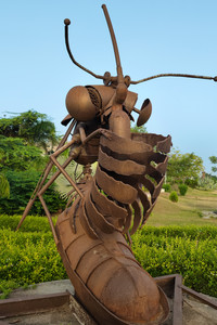 Metal Beetle.jpg