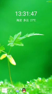 大树的童年时代