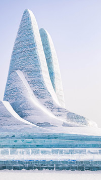 ice sculpture