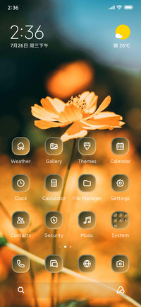 Flower Field