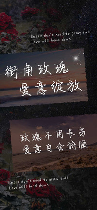 街角玫瑰爱意绽放