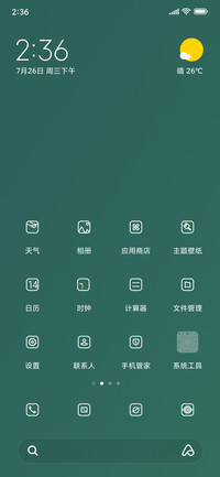 雏菊