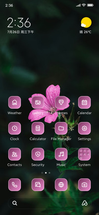 Pink Flower