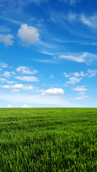 Green eye protection prairie wallpaper
