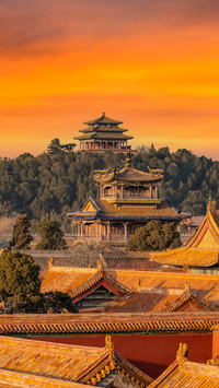 Museums have become the top destination for summer travel