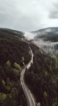 Nature B5 (7)