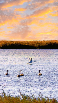 Wuliangsuhai lake