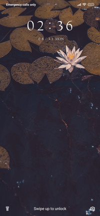 Lotus Lake_3MDS