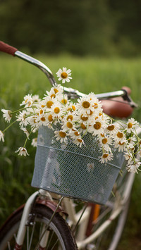 Good scenery in spring-11
