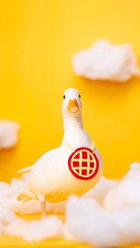 Ducks have ears