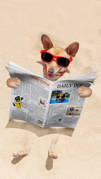 Its best to have a suitable dog