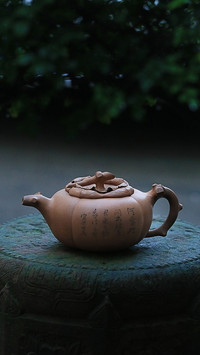 一片冰心在玉壶