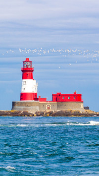 Flock of birds flying over a lighthouse