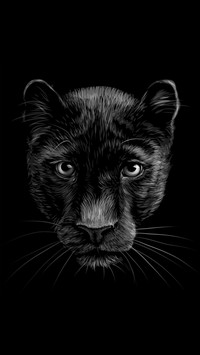 Black and White Photography Art