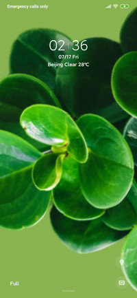 Plants_3MDS