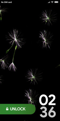 FEATHER_DWM2