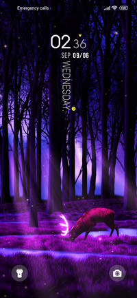 Forest of Illusion