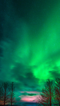 The starry sky of the arctic circle